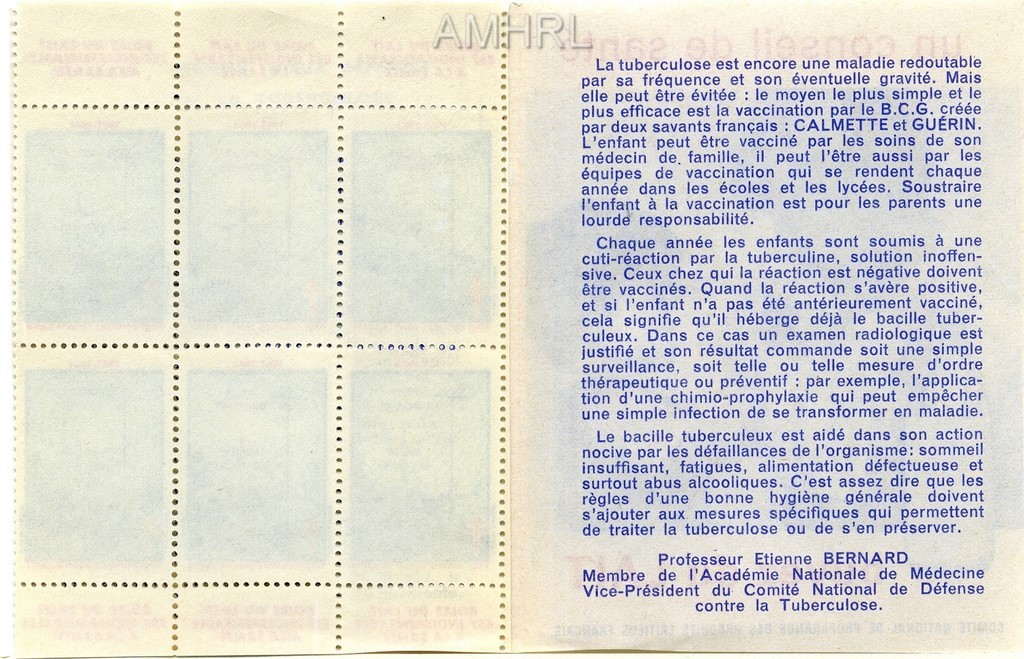 1963-1964 Carnet complet « Mieux informé, mieux défendu contre la tuberculose » avec 9 timbres