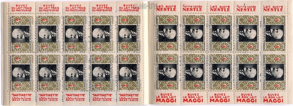 1934 Carnet complet « Calmette sauveur des tout petits par le vaccin BCG » avec 20 timbres 