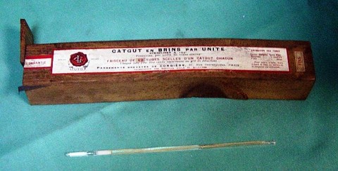 catgut en brins
