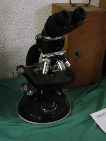 Microscope binoculaire